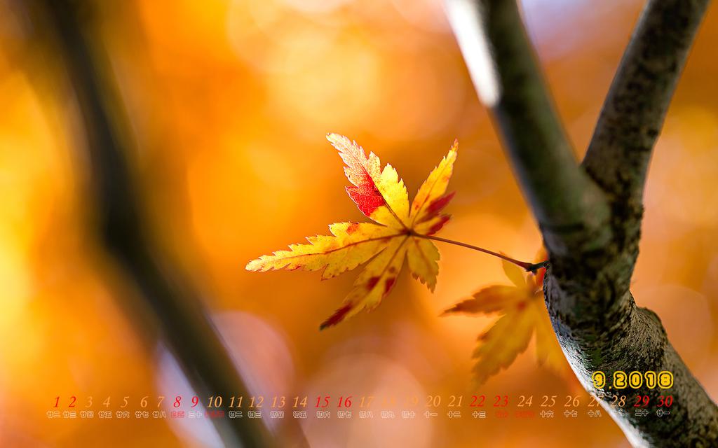 2018年9月秋景日历