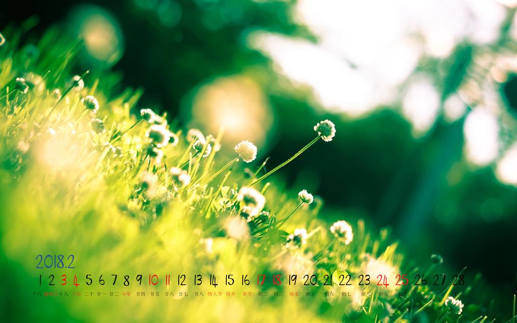 2018年早春2月日历