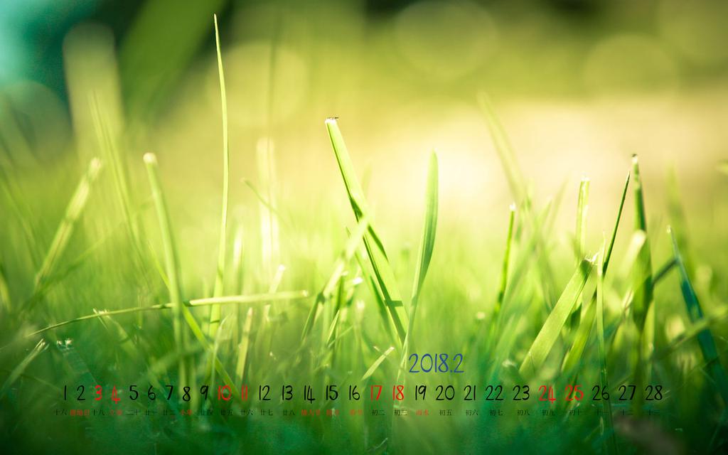 2018年早春2月日历