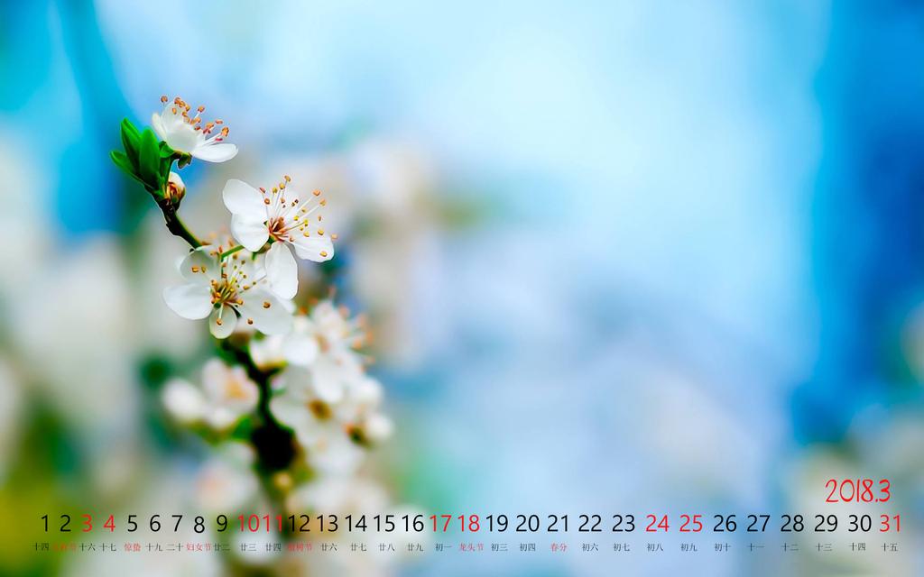 2018年3月桃花日历