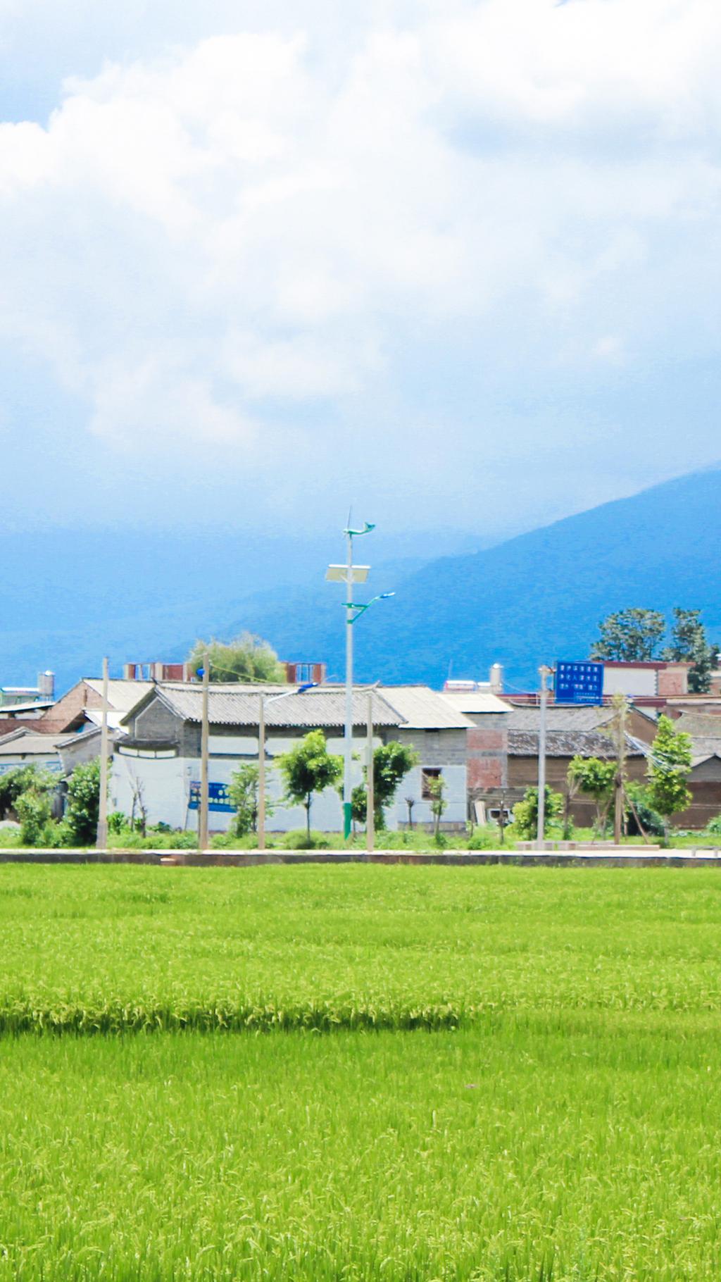 云南小清新风景手机壁纸图片