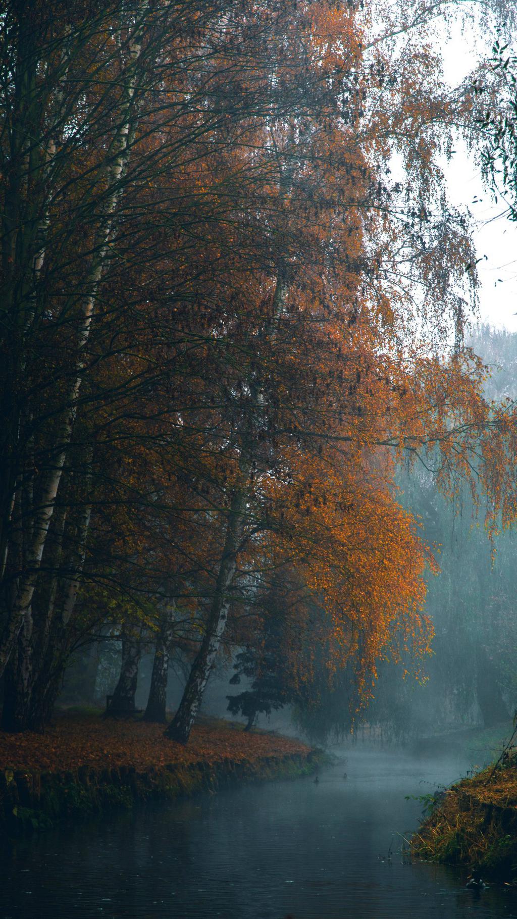 秋色唯美意境图片