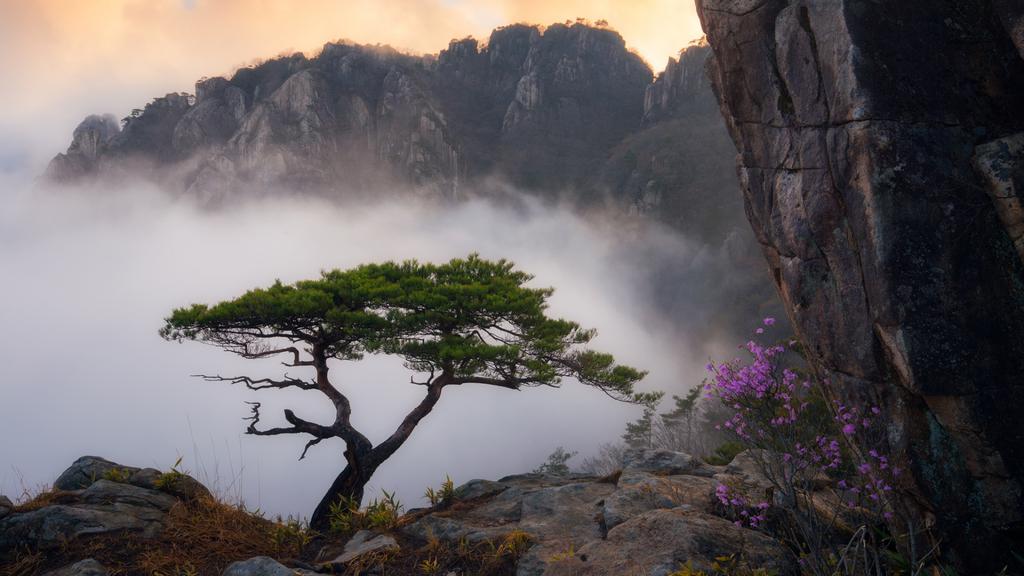 艳丽壮观的美景