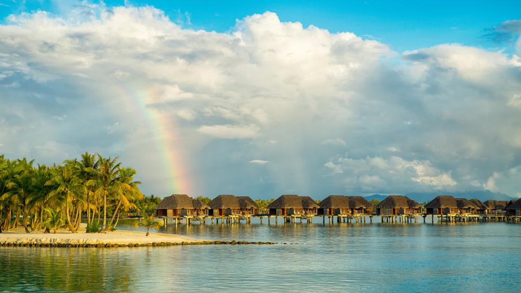 艳丽壮观的美景