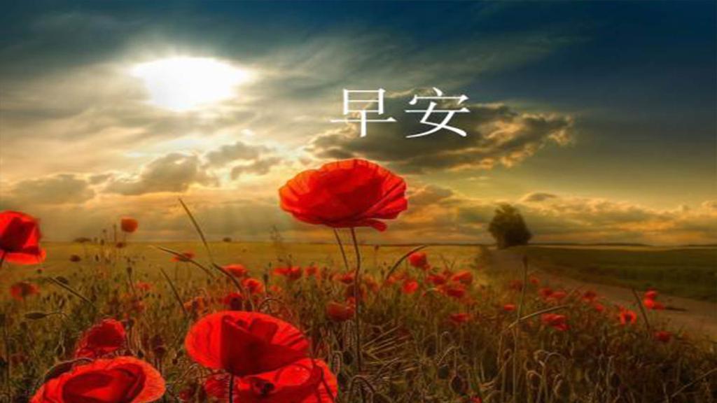 微信励志早安非主流语录