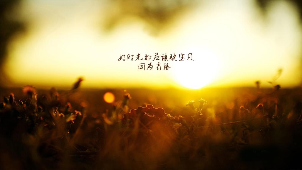 早上好清新图片