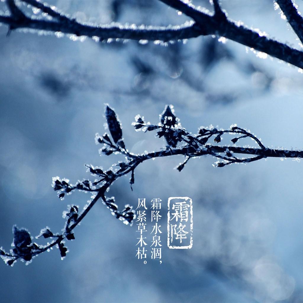 二十四节气霜降