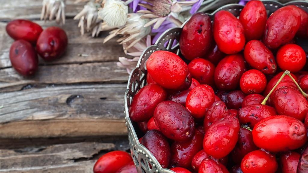 重阳节红色茱萸