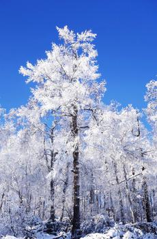 vivo x9plus官方自带壁纸-5