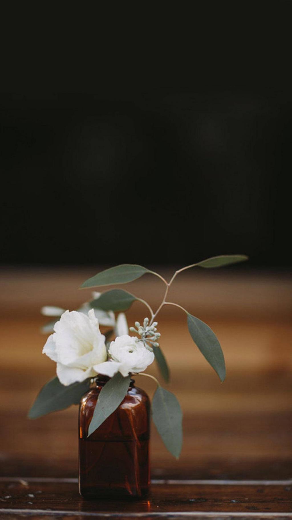 小清新唯美花卉