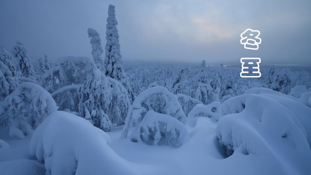 唯美的冬至雪景