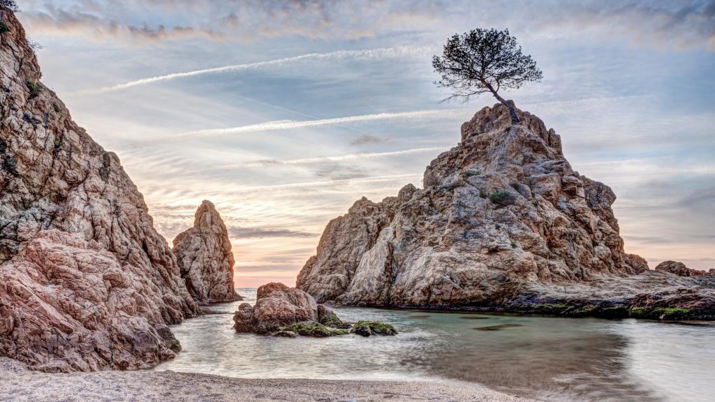 清新唯美自然风景