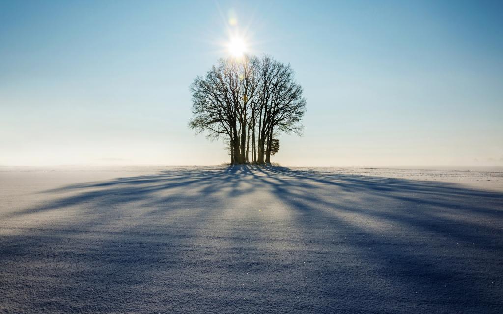二十四节气之小雪