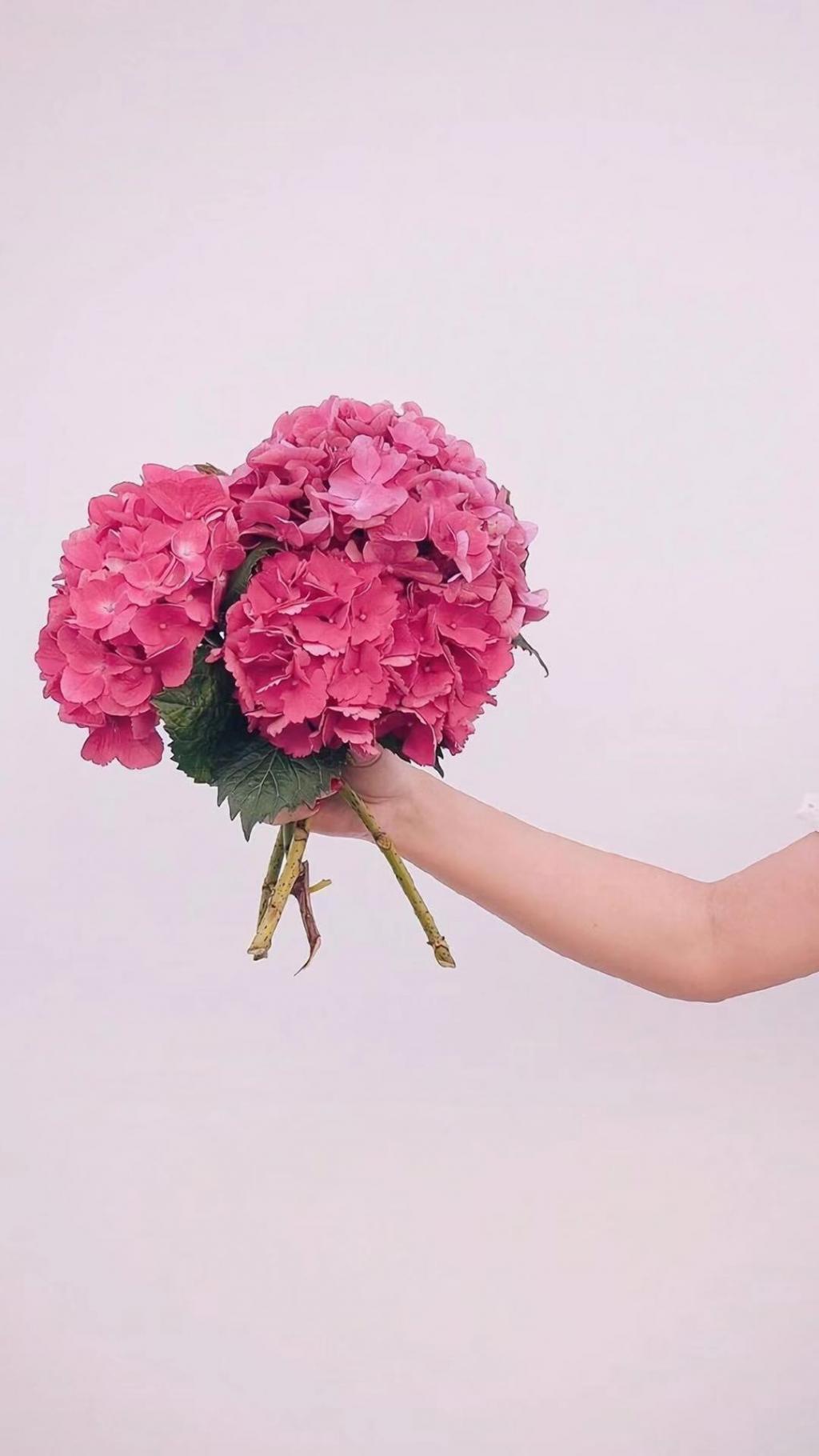 七夕情人节唯美鲜花系列