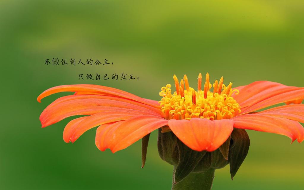 励志心语说说配图