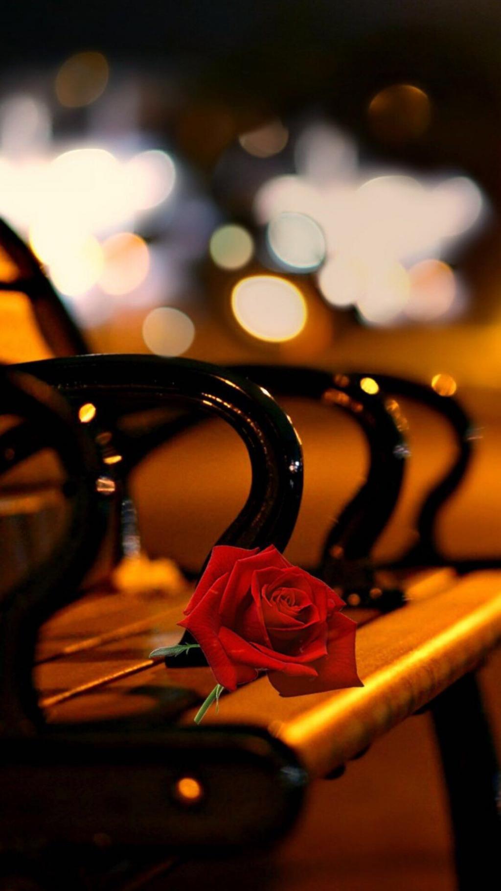 浪漫七夕情人节玫瑰