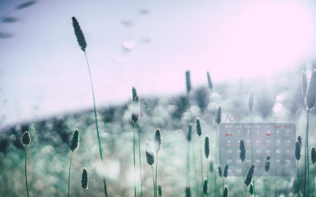 2019年4月美得让人流连忘返的风景日历