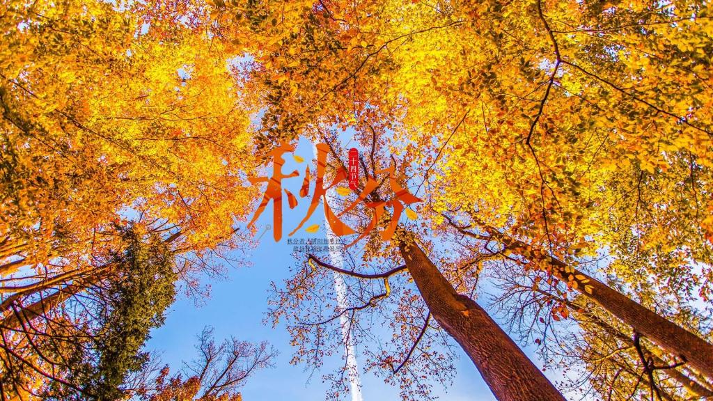 24节气秋分之唯美自然风光