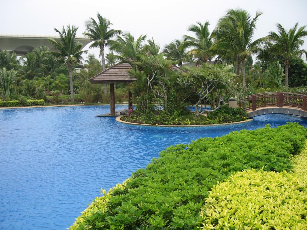 博鳌风光椰子树