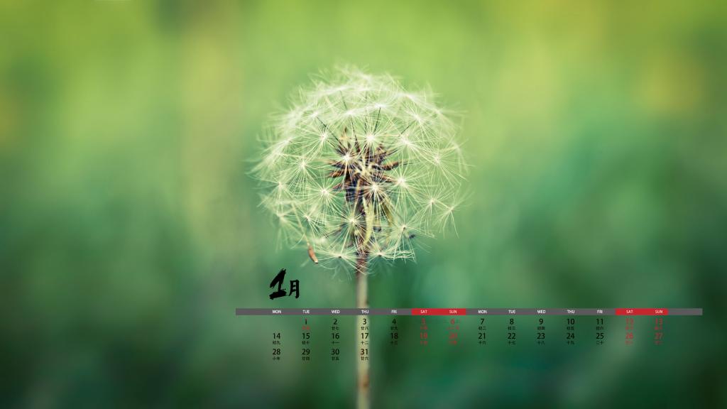 2019年1月自由飞翔的蒲公英日历