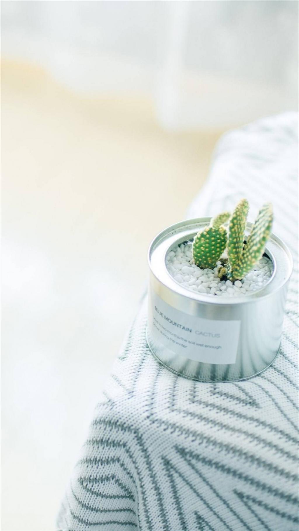 小清新治愈系家居摄影