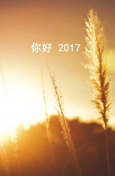 你好2017元旦图片大全