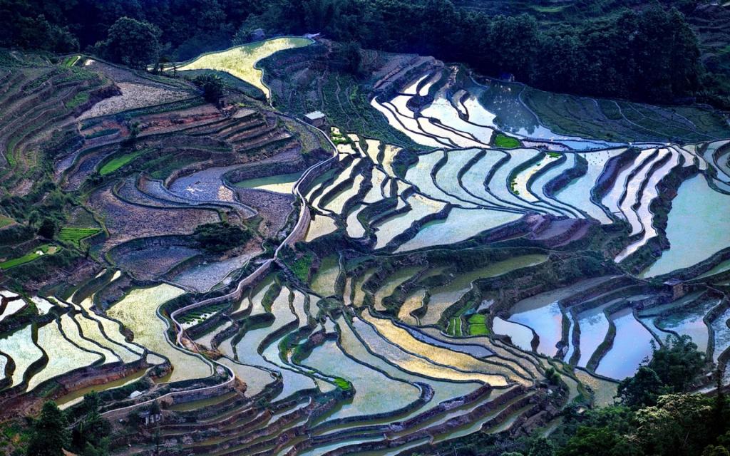 像梦一般的元阳哈尼梯田