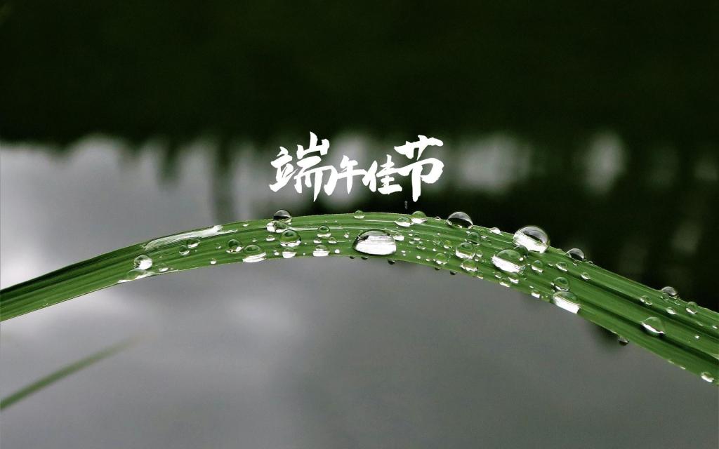 中国传统节日端午节