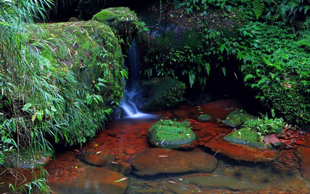 贵州赤水天柱峰佛光岩风景