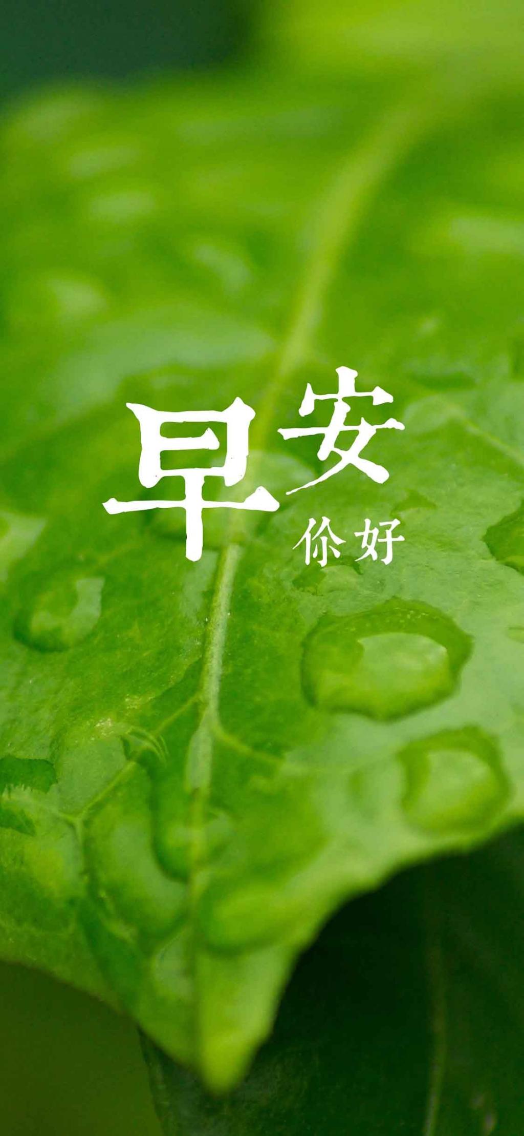 早安/真正的幸福,不是活成别人那样