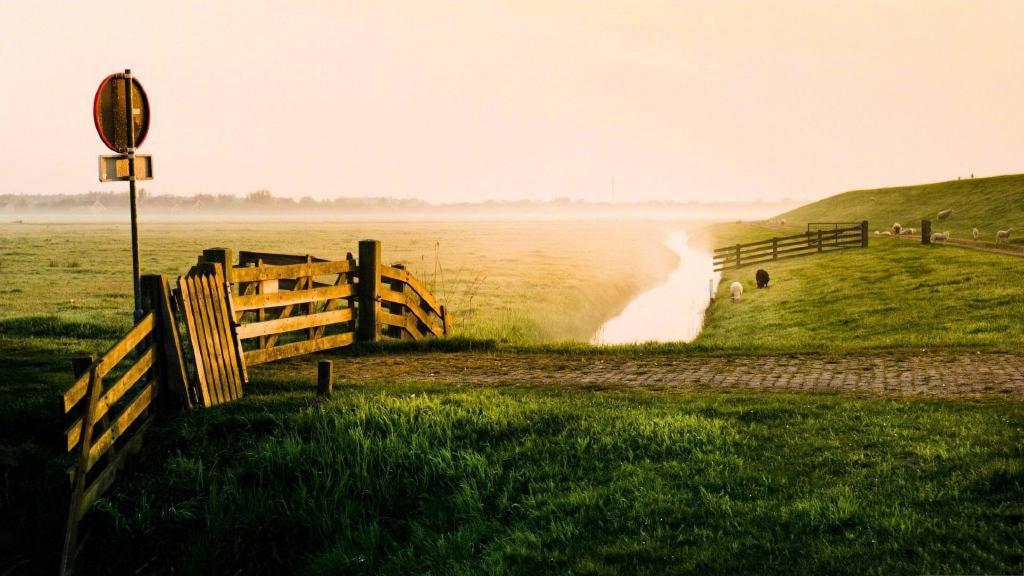 小清新绿色自然风景