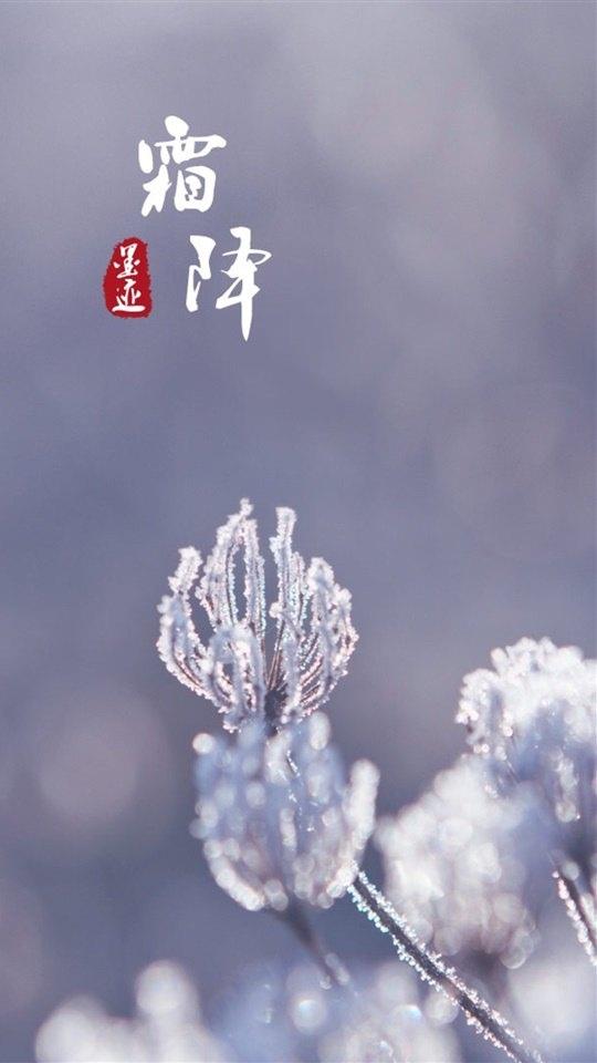 二十四节气之霜降