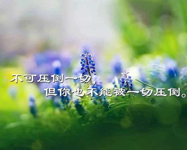 微信早安心语励志语录