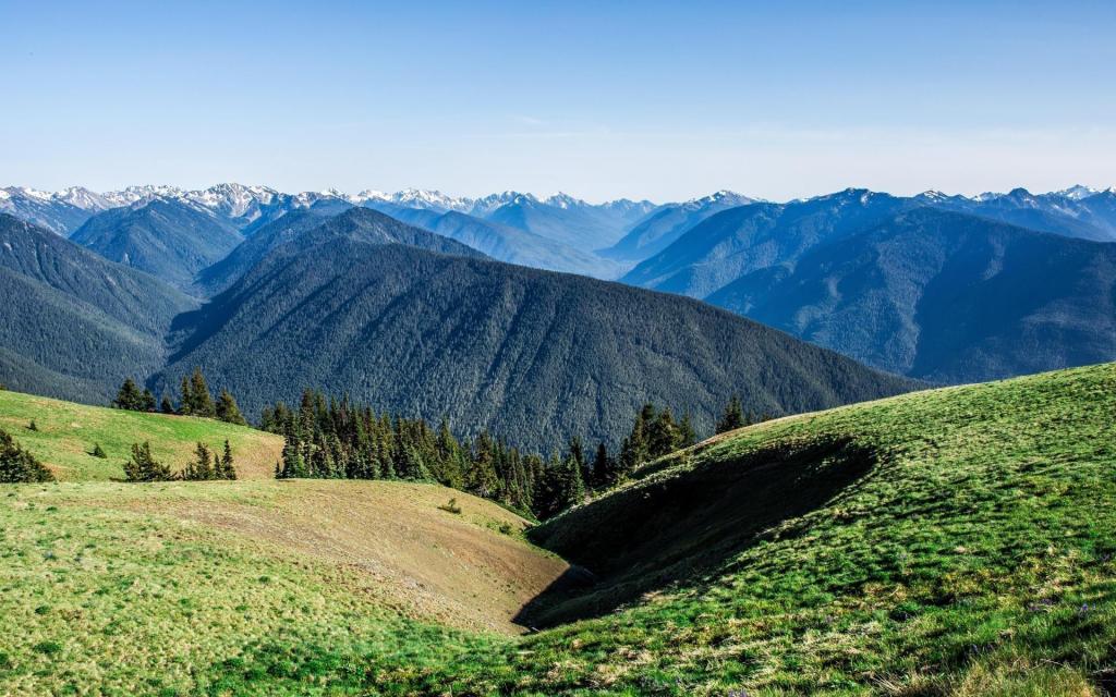 清新绿色护眼绝美自然风光