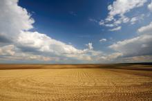清新护眼的风景