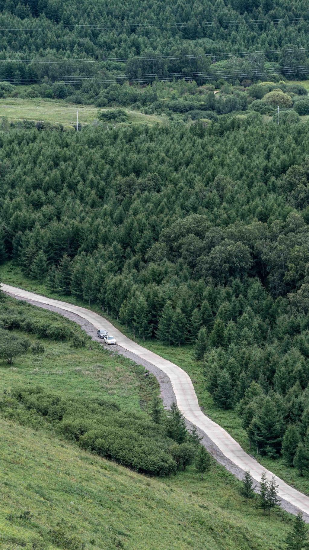 青海清新日系治愈自然风光