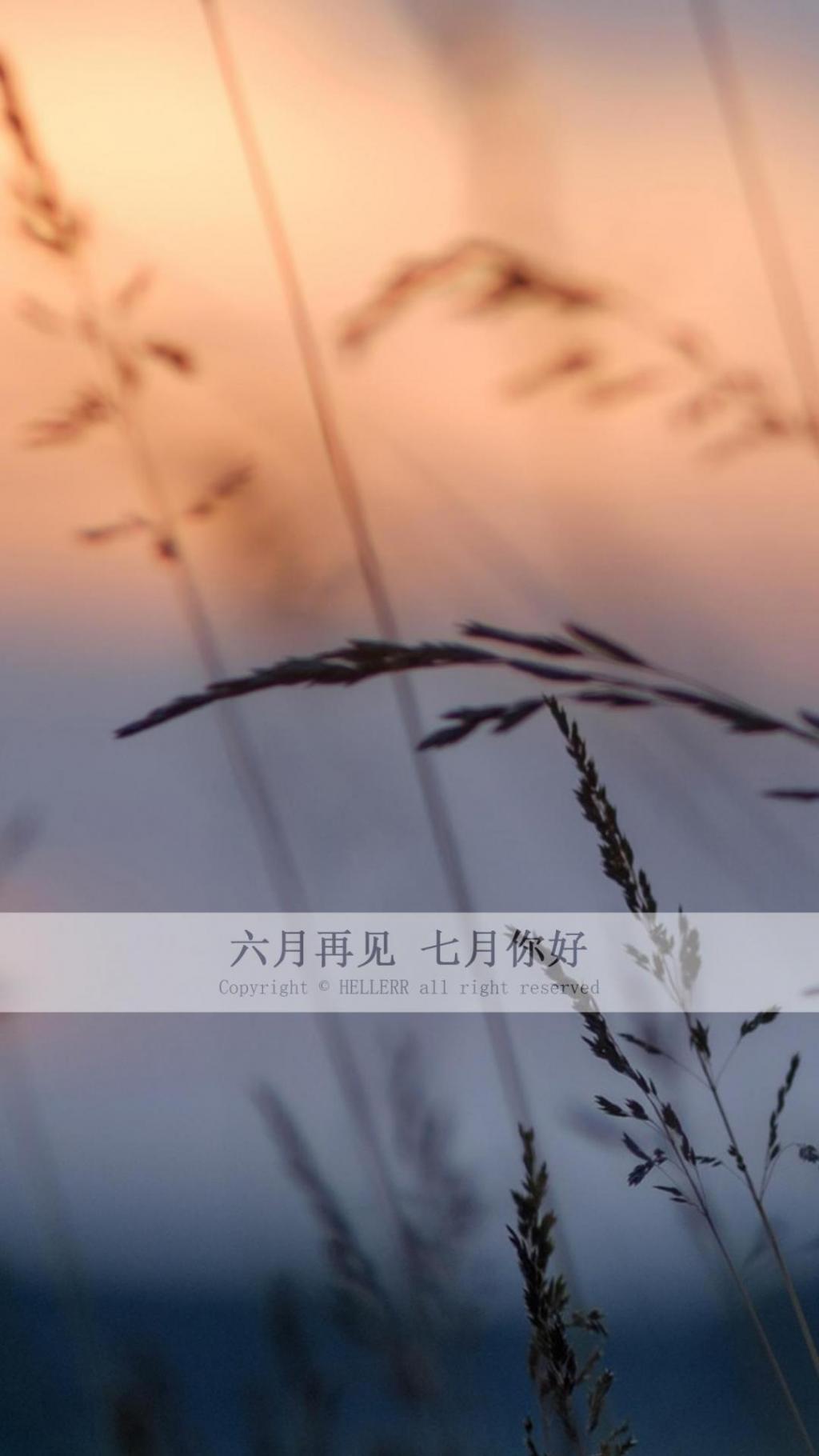 再见六月,七月你好