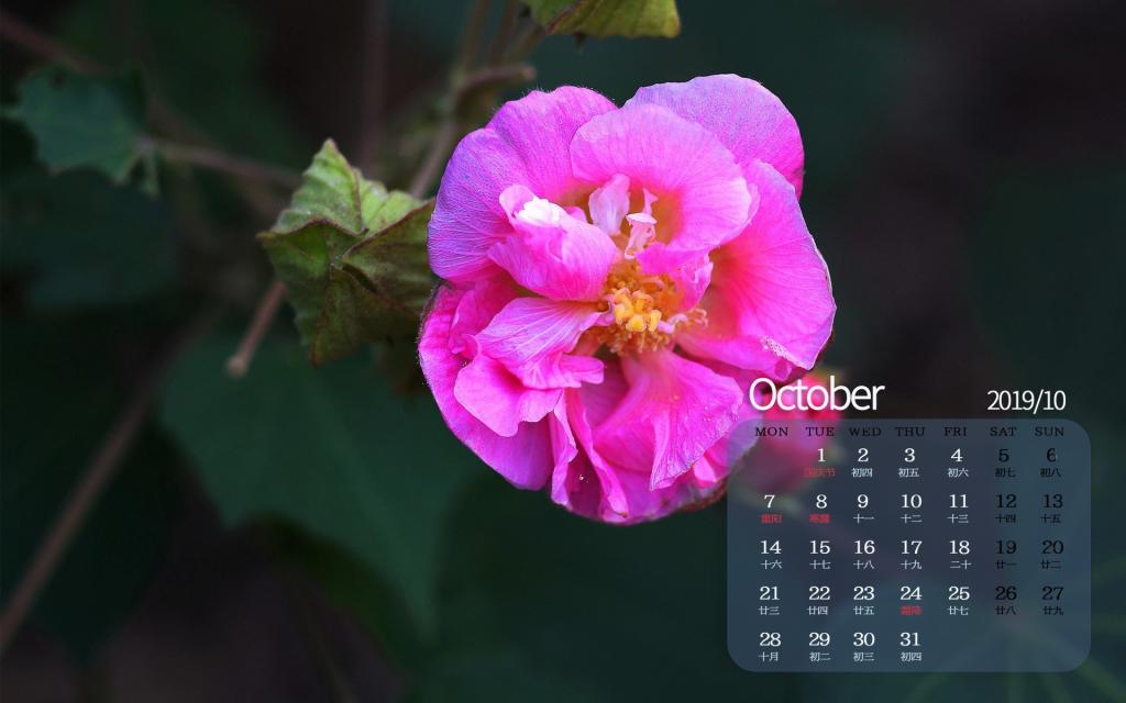 2019年10月纯洁寓意的芙蓉日历
