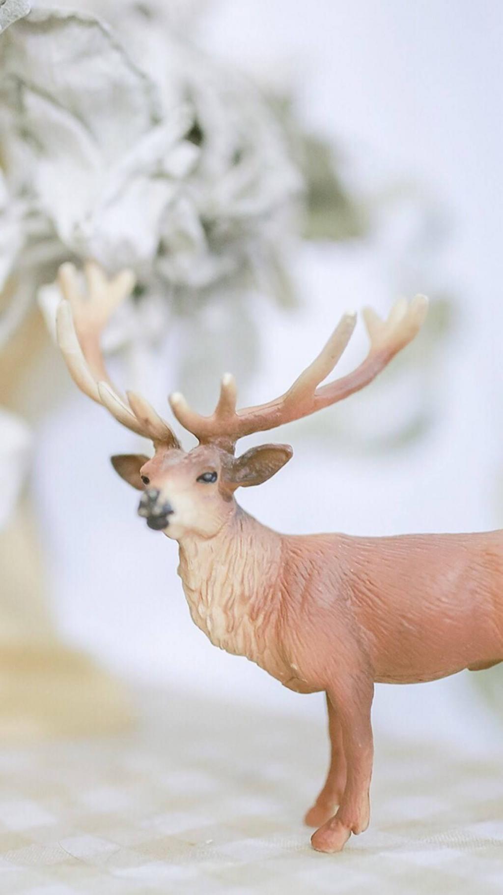 小清新静物写真