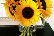 花花世界里的青春气息