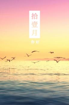 十一月第一天你好-1