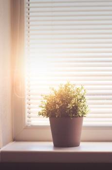 文艺小清新静物-7