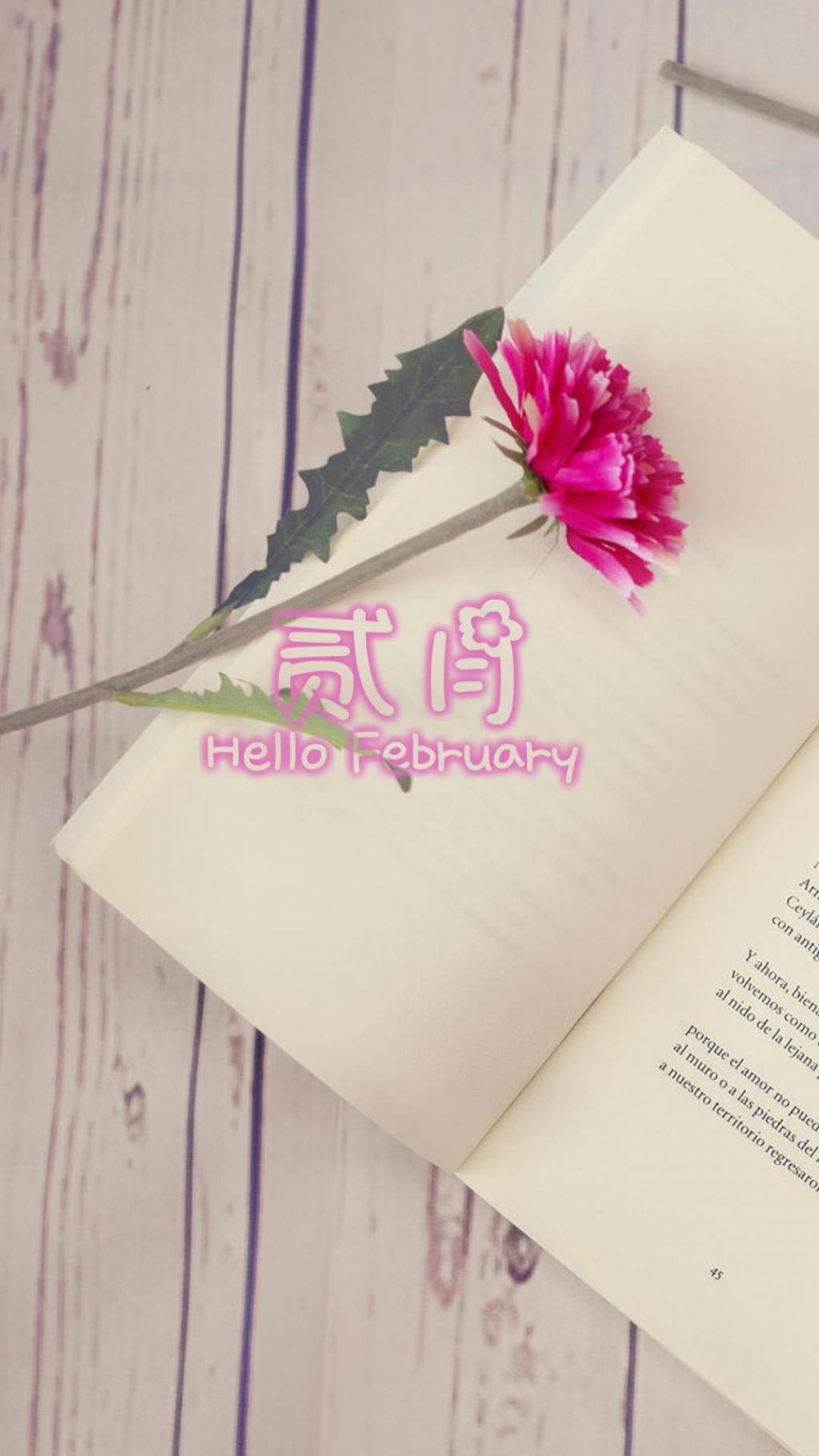 最好的二月你好