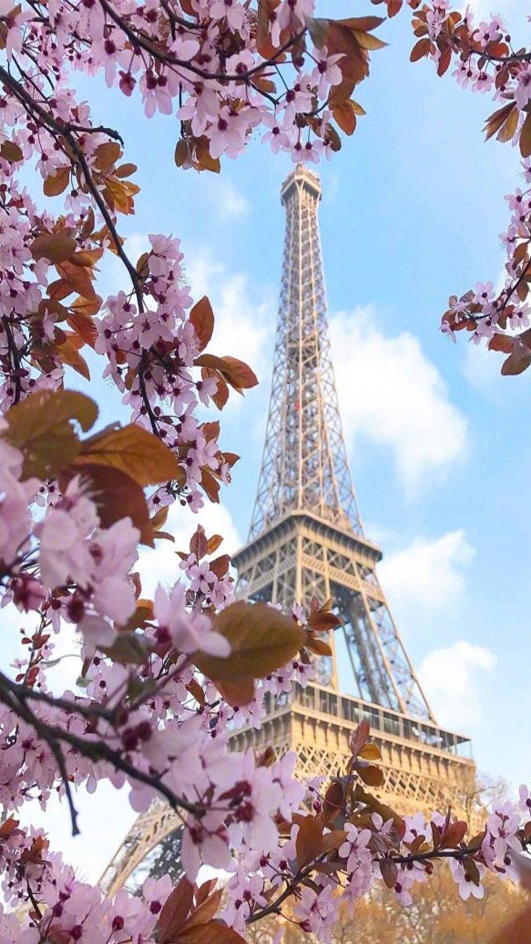 首页 手机壁纸 浪漫之都巴黎梦幻风景 > || 更新时间:2017-10-25 颜色