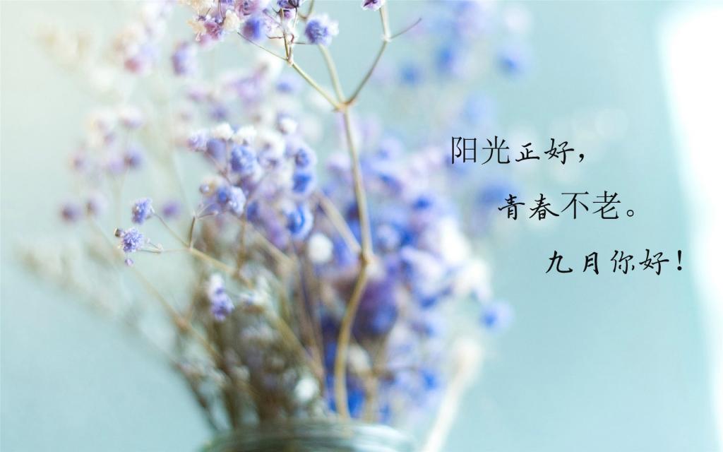 送给9月的句子图片