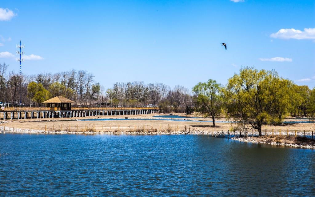 北京南海子公园风景