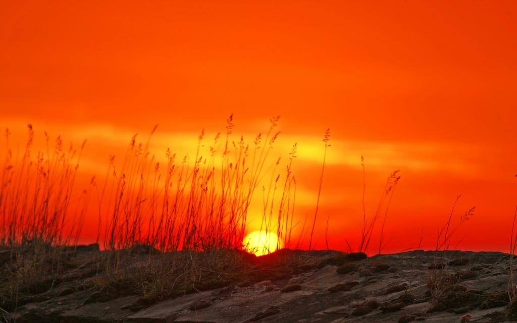 一起去看唯美的日出风景
