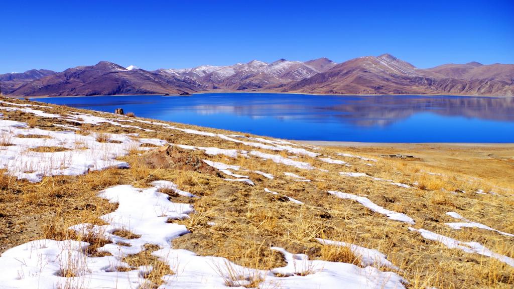 西藏羊卓雍措之碧蓝色湖泊