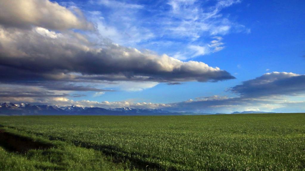 新疆喀拉峻草原