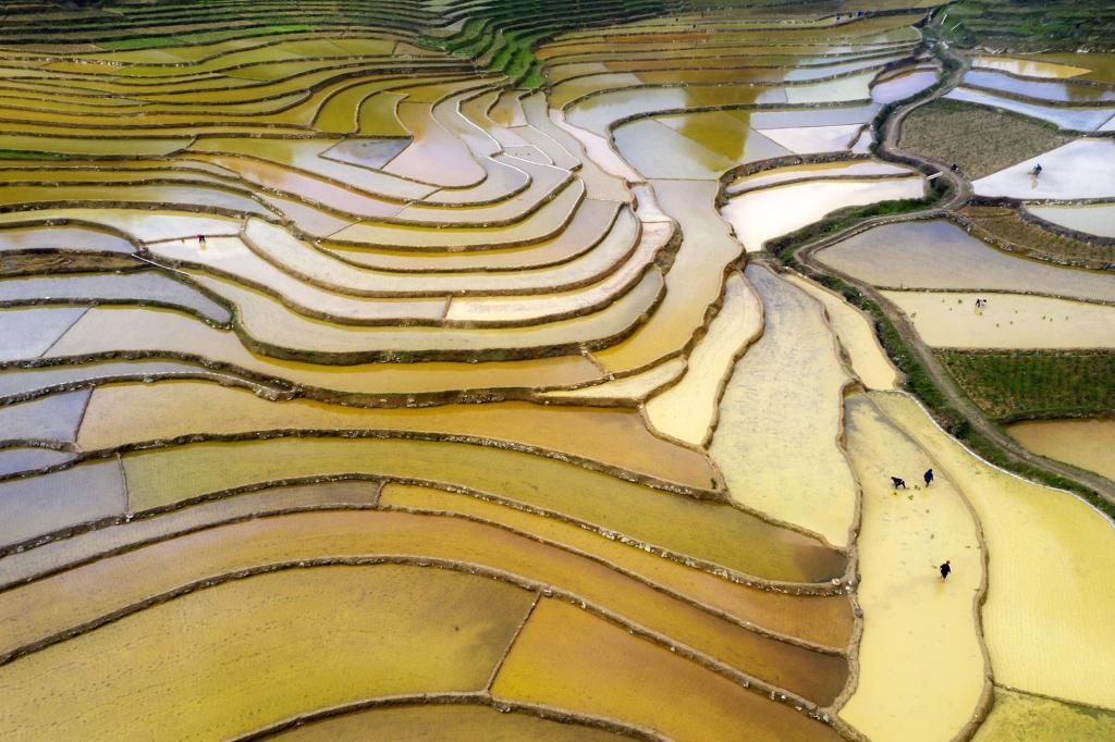 超美丽的田园风光景致